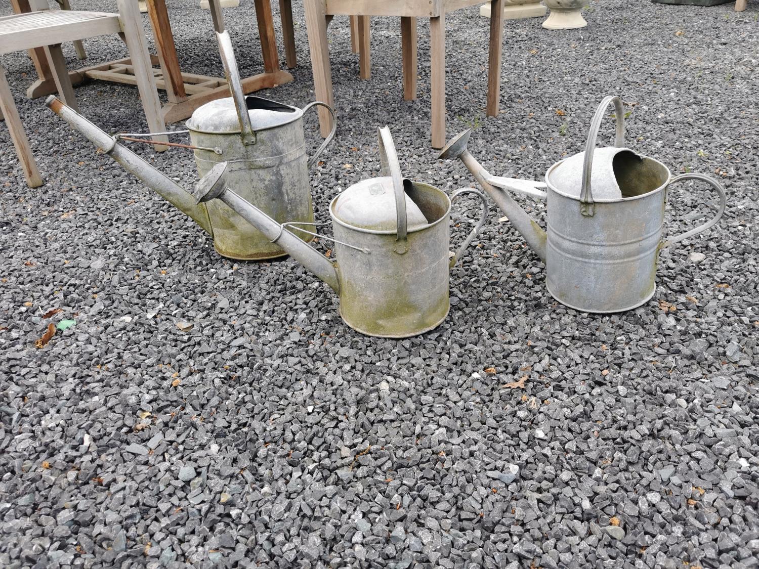 Three early 20th C galvanised watering cans.