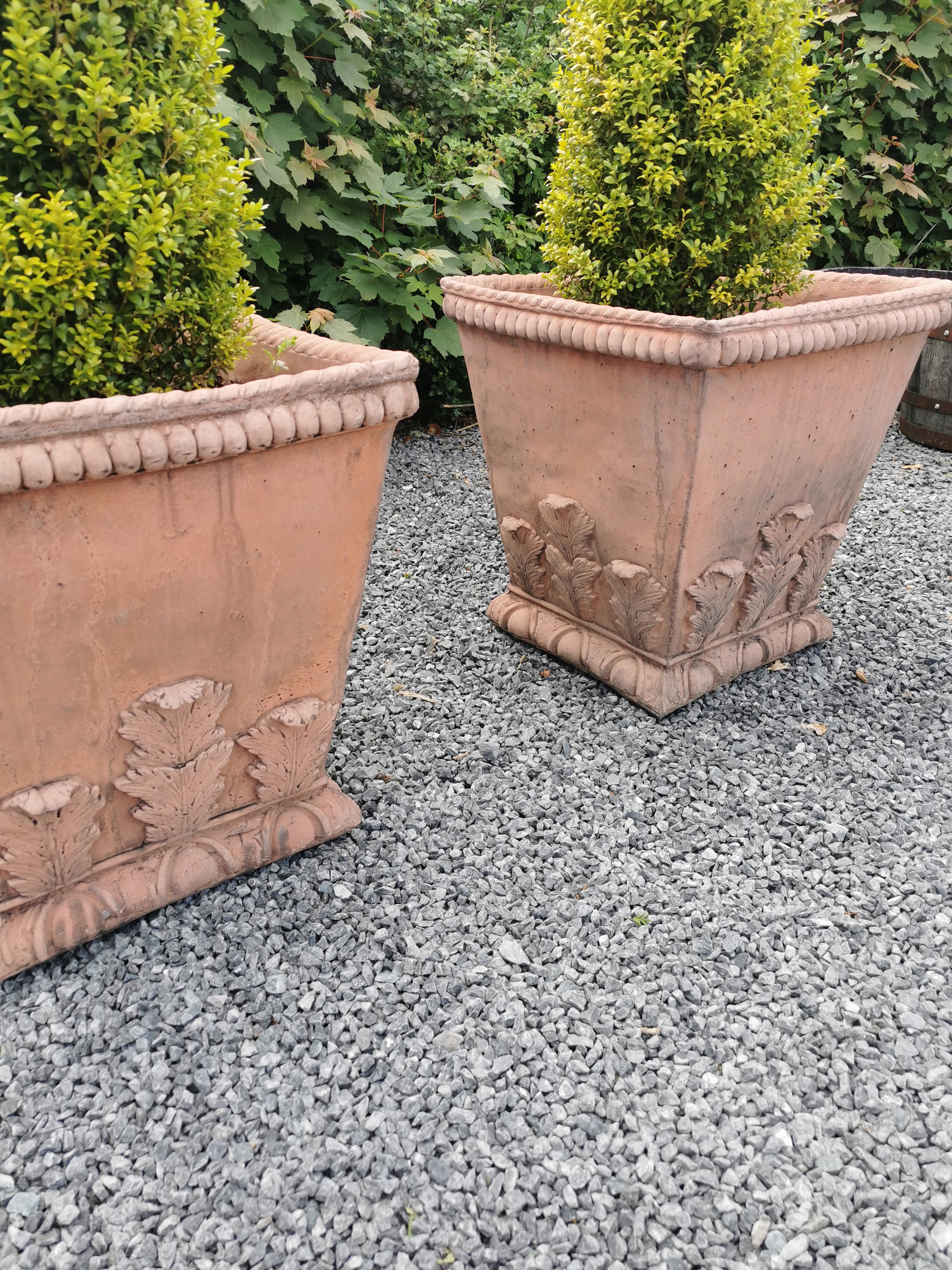 Pair of square terracotta planters decorated with acanthus leaf including boxwood bush - Bild 2 aus 6