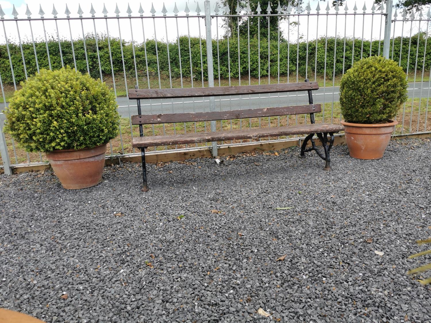 Pair of terracotta planters with ball box hedging. {96 cm H x 65 cm Dia including plant}.