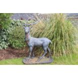 Cast iron Stag on base. {146 cm H x 60 cm W x 102 cm D}.