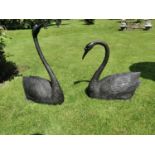 Two exceptional quality bronze Swans.