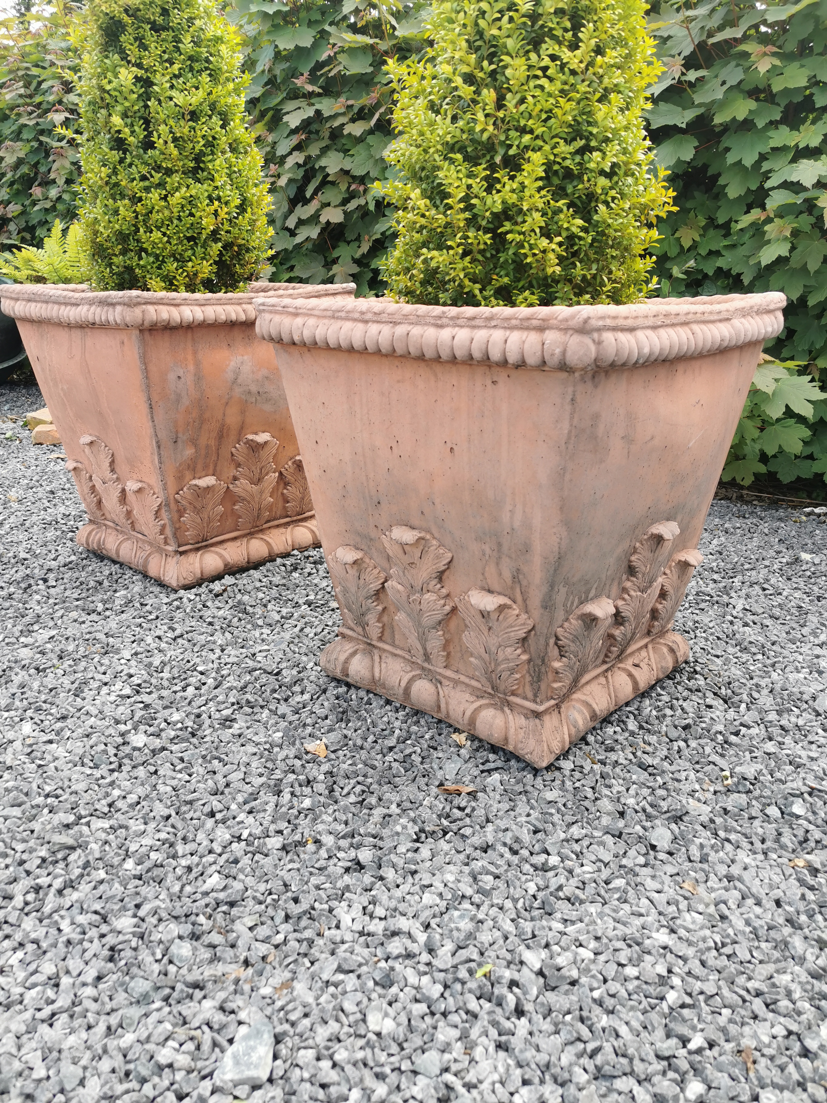 Pair of square terracotta planters decorated with acanthus leaf including boxwood bush - Bild 4 aus 6