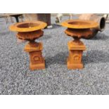 Pair of cast iron decorative urns on pedestals {60 cm H x 43 cm Dia.}.