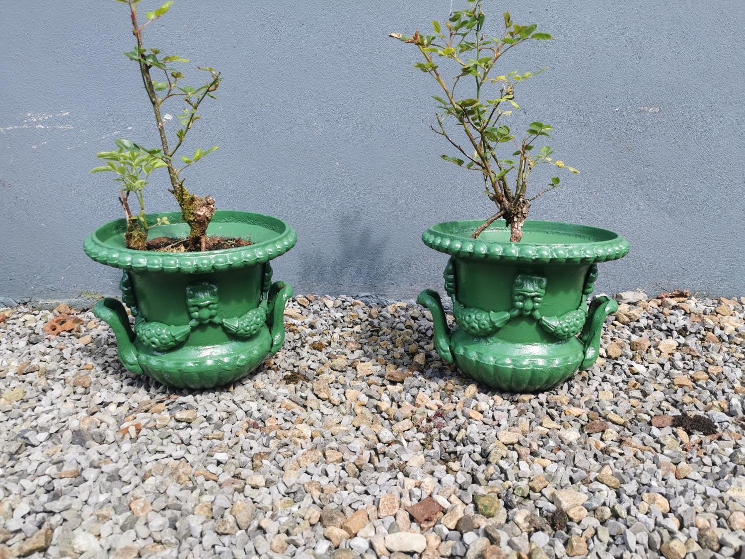 Pair of cast iron urns decorated with swags