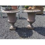 Pair of 19th C. cast iron urns {65 cm H x 58 cm Dia.}.