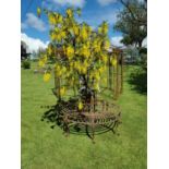 Rare wrought iron tree branch surround {90 cm H (overall) and 49 cm H (seat) x 150 cm Dia}.
