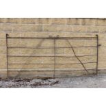 Wrought iron field gate with scroll top {137 cm H x 293 cm W x 5 cm D}