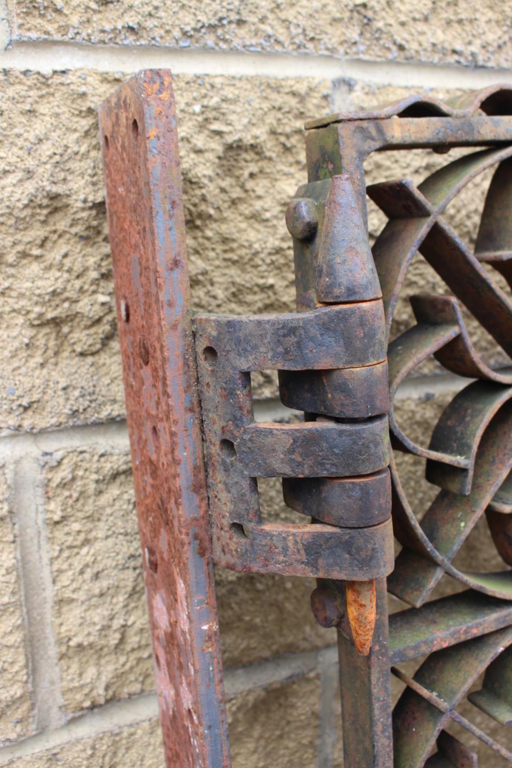 Pair of 19th C. wrought iron field gates with scroll design {137 cm H x 266 cm W} - Image 2 of 5