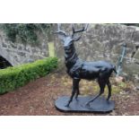 Cast iron model of a Stag standing. {144 cm H x 102 cm W x 64 cm D}.