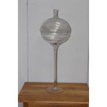 Tall glass lidded bonbon jar {80 cm H x 30 cm Dia}