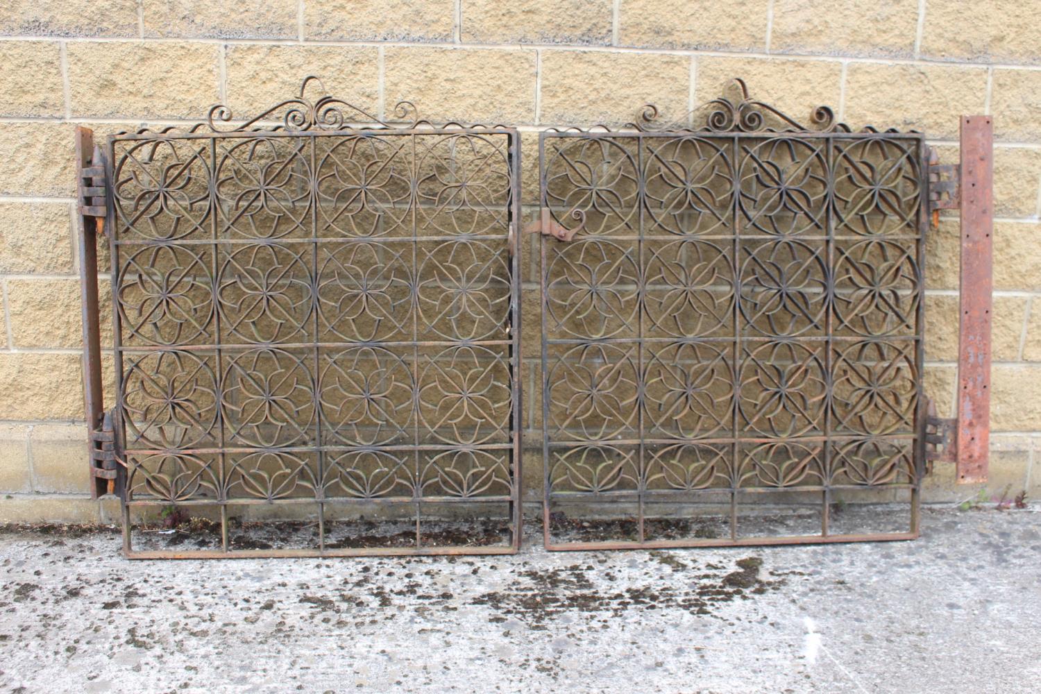 Pair of 19th C. wrought iron field gates with scroll design {137 cm H x 266 cm W}