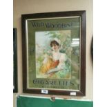 Rare Wild Woodbine cigarettes framed advertising show card {58 cm H x 45 cm W}.