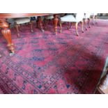 Good quality 19th. C. wool carpet square { 550cm L X 360cm W }.