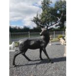 Exceptional quality bronze sculpture of a Majestic Stag