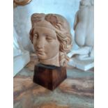 19th. C. Grand Tour terracotta bust of a Girl mounted on a wooden base.