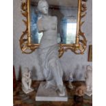 Rare 19th. C. Grand Tour plaster figurine of Venus { 101cm H X 34cm Sq }.