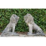 Pair of stone figures of seated Lion's raised on rectangular plinth {96 cm H x 72 cm W x 42 cm D}.