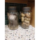 Two lidded jars of dried squashes and seeds - Label Halianthemum Nummularium { 35cm H X 18cm Dia}.