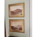 Pair of early 20th C. watercolours Dartmoor scenes by W H Dyer {50 cm H x 63 cm W}.