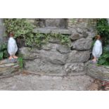Pair of composition models of penguins { 70cm H X 27cm W X 25cm D }