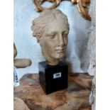 19th. C. Grand Tour plaster mould bust of a Young Lady mounted a base. { 44cm H X 26cm W X 18cm D }.