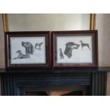 Pair of Weimdraner black and white prints of Dogs mounted in mahogany frames {48 cm H x 58 cm W}.