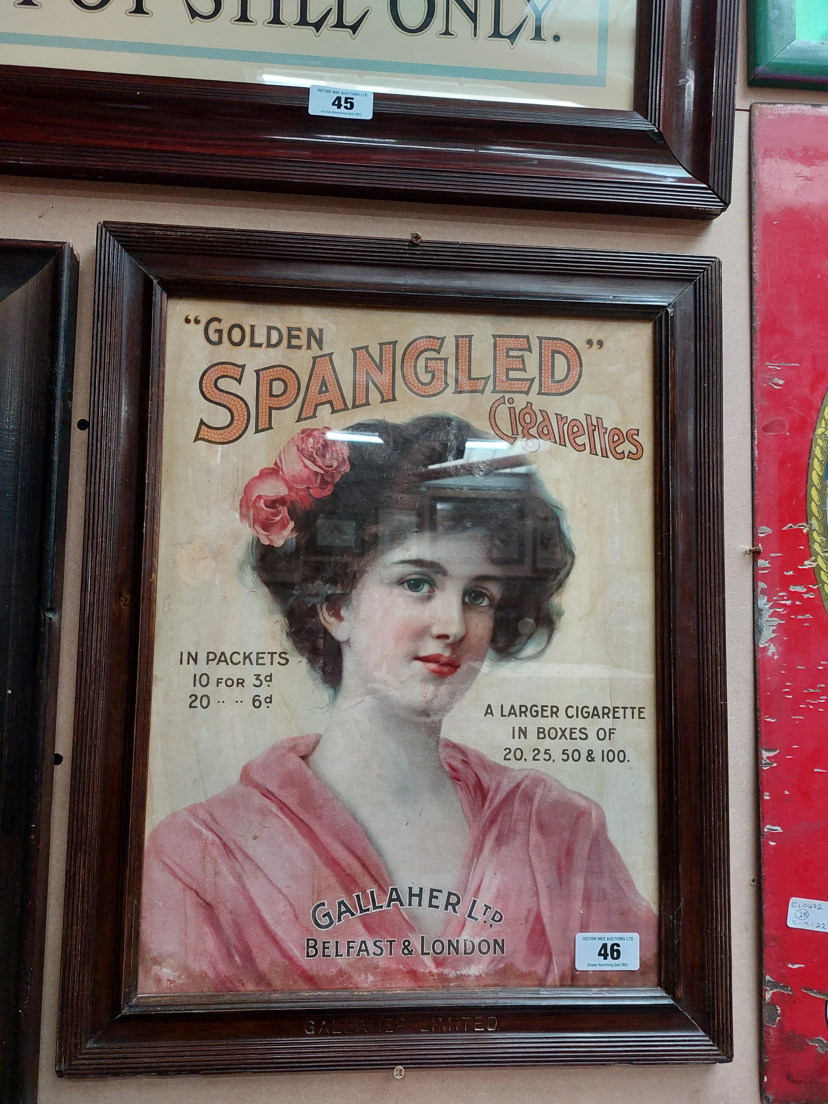 Gallagher's Golden Spangled Cigarettes framed showcard. {58 cm H x 46 cm W}.