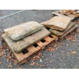 Collection of 19th. C. sandstone coping stones originally from Dartry Castle Cootehill Co Cavan {