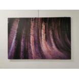 Wave Rock - Photography - Daragh Muldowney Dulra Photography 2005 (Irish 20th - 21st Century) {81 cm