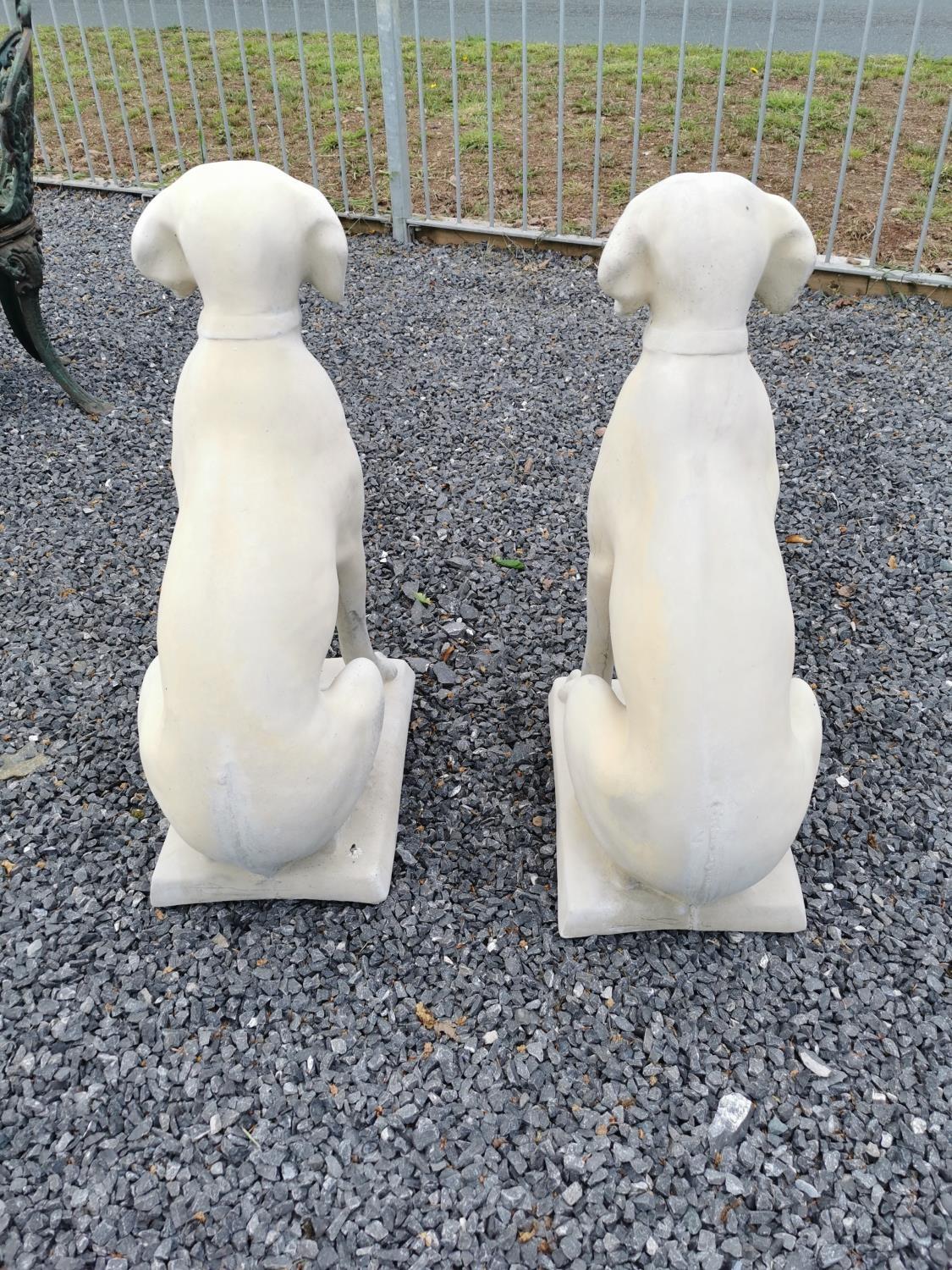 Pair of moulded stone models of seated Dogs. {73 cm H x 30 cm W x 45 cm D}. - Image 3 of 3