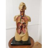 Early 20th. C. Ruberoid medical mannequin with skull and torso detail.