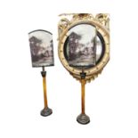 Unusual pair of table lamps with burr elm stems and pictorial shades { 80cm H X 20cm W X 11cm D }.