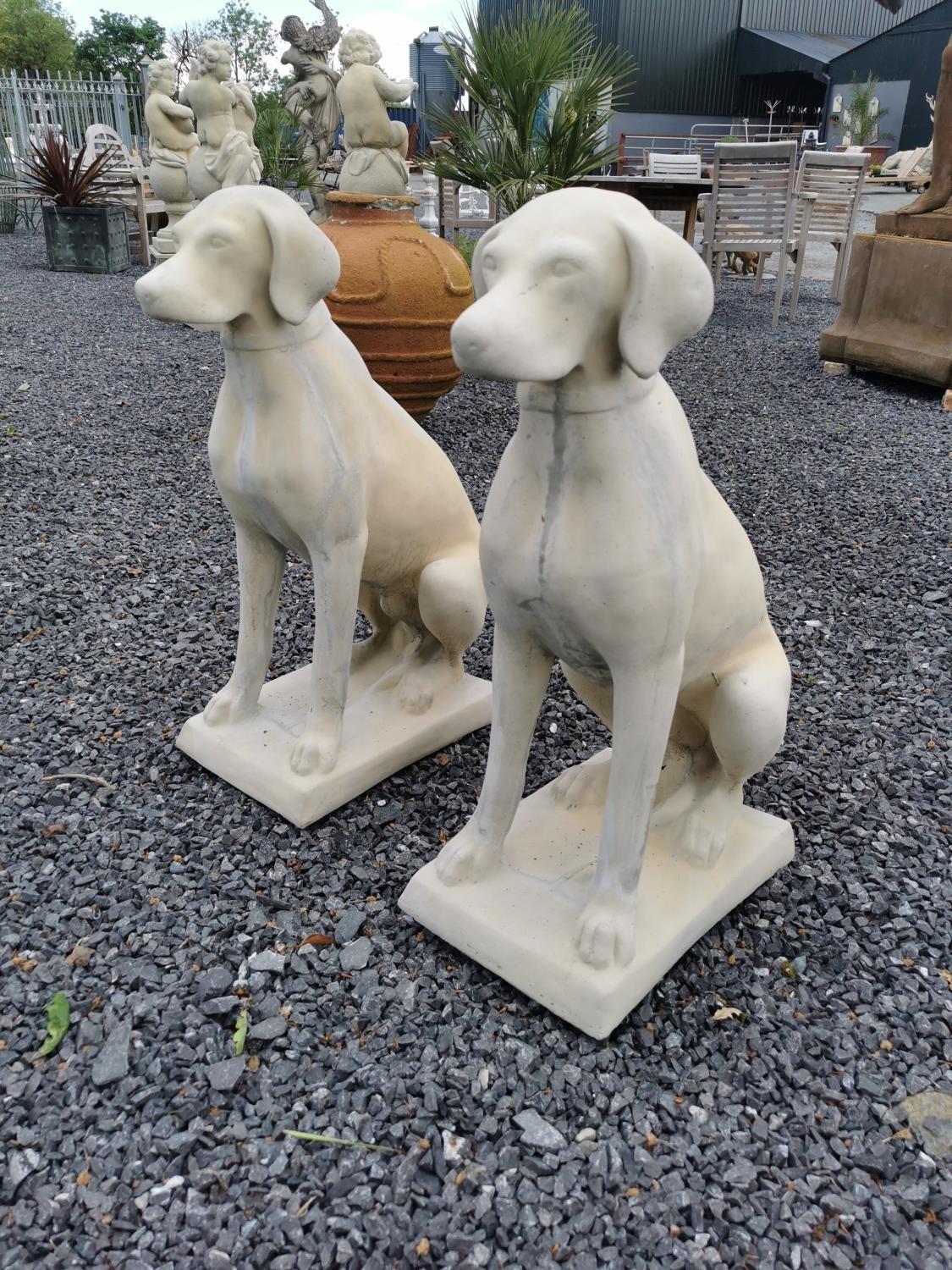 Pair of moulded stone models of seated Dogs. {73 cm H x 30 cm W x 45 cm D}.