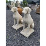 Pair of moulded stone models of seated Dogs. {73 cm H x 30 cm W x 45 cm D}.