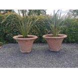 Exceptional pair of moulded terracotta circular planters with basket weave design. {74 cm H x 100 cm