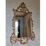 Pair of good quality gilt wall mirrors, surmounted with foliage, in the Rococo style. { 174cm H X