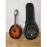 Mandolin with case.