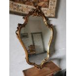 Decorative gilt wall mirror in the Rocco style {84 cm H x 53 cm W}.