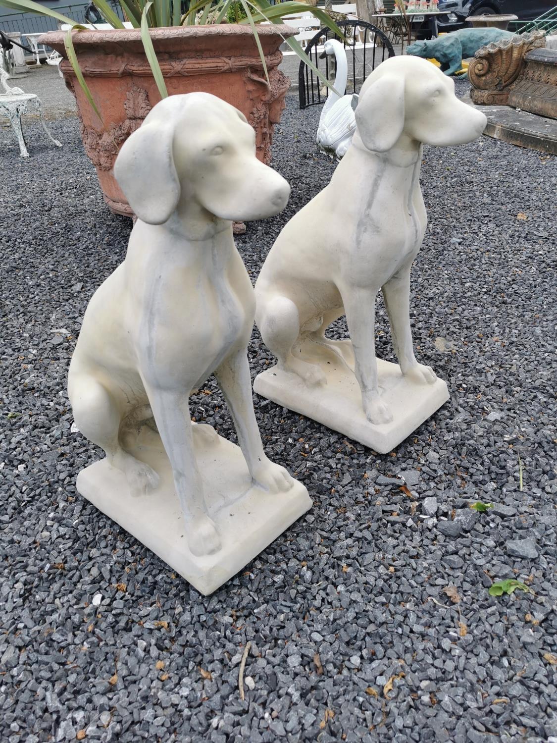 Pair of moulded stone models of seated Dogs. {73 cm H x 30 cm W x 45 cm D}. - Image 2 of 3