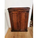 Good quality 19th C. rosewood side cabinet with two panelled doors {104 cm H x 76 cm W x 32 cm D}.