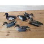 Collection of six plastic decoy ducks