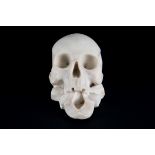 Marble skull