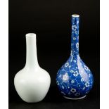 Two porcelain vases