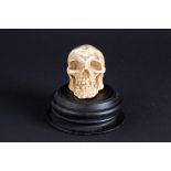 Soapstone skull