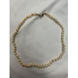 VARIOUS SIZED PEARL NECKLACE WITH AN UNMARKED YELLOW METAL CLASP 43CM APPROX