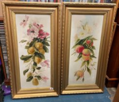 PAIR OF OILS ON BOARD STILL LIFE OF FLOWERS AND FRUIT IN GILT FRAMES