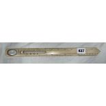 RULER/THERMOMETER MAGNIFIER