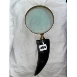 LARGE HORN HANDLE MAGNIFYING GLASS