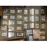 LARGE SELECTION OF CASH'S WOVEN SILK PICTURES OF BIRDS AND COUNTRY WILDLIFE SERIES