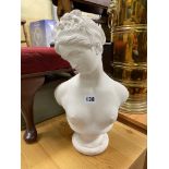 CLASSICAL STYLE PLASTER BUST OF A FEMALE
